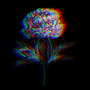 Neskinti Bijūnai (Singlas)