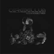 CEREBELLUM