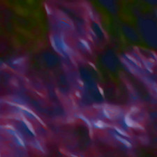 shoes reprise (Singlas)