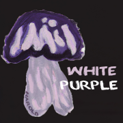 WHITE PURPLE (Singlas)