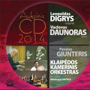 AUKSINIS DISKAS 2014