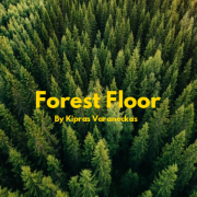 FOREST FLOOR (Singlas)