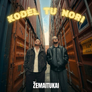 kodėl tu nori (Singlas)