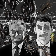 Bestuburiai žinduoliai (Singlas)