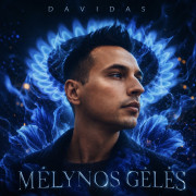 Mėlynos Gėlės (Singlas)