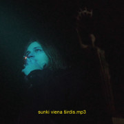 SUNKI VIENA ŠIRDIS (Singlas)