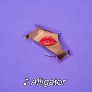 ALLIGATOR (Singlas)