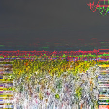 one frame (Singlas)