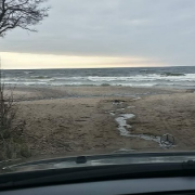 ALBERTINO & RENIS varlės (SINGLAS)