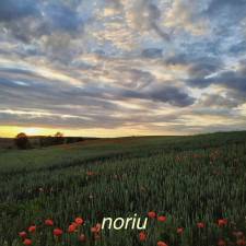 Noriu (Singlas)