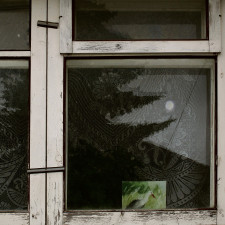 Tarp tavęs ir pasaulio (Singlas)