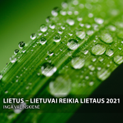 LIETUVAI REIKIA LIETAUS (Singlas)