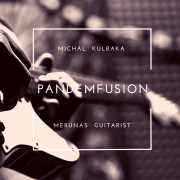 Pandemfusion