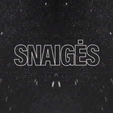 SNAIGĖS (Singlas)