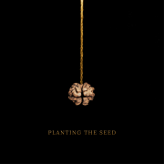 PLANTING THE SEED (EP)