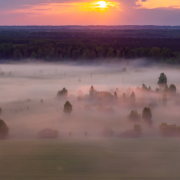 Tylūs, vakarele (Singlas)