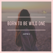 Born To Be Wild One
