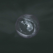 Pirmąkart Gyveni (Singlas)