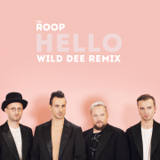 Hello (Wild Dee Remix)