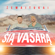 Pasimatysime šią vasarą (Singlas)