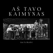 Aš Tavo Kaimynas (Singlas)