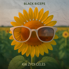 Kai žydi gėlės (Singlas)