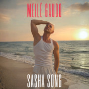Meilė gaudo (Singlas)