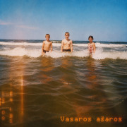 Vasaros ašaros (Singlas)