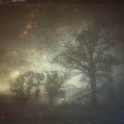 Oi atvažiuoja šventa Kalėda (Singlas)