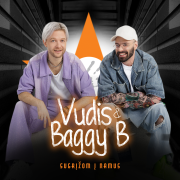 Sugrįžom į namus (Singlas)