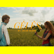 Gėlės (Singlas)