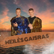 MEILĖS GAISRAS (Singlas)