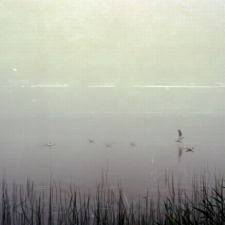 Ankstyvi Įrašai (2005 - 2009)