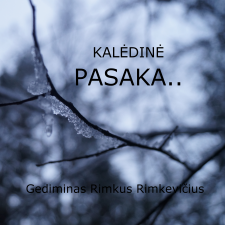 KALĖDINĖ PASAKA