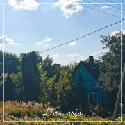 Dar vis (Singlas)