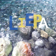 Liepa (Singlas)
