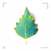 FALLING LEAVES (Singlas)