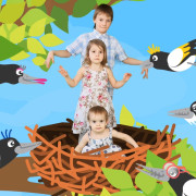 The Magpie Family (Singlas)