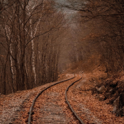 autumn (Singlas)