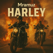 Harley (Singlas)