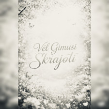 Vėl Gimusi Skrajoti (Singlas)