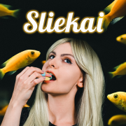 SLIEKAI (Singlas)