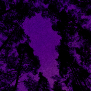 Maybe Eternal