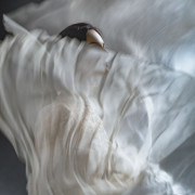 100 tūkstančių (Singlas)