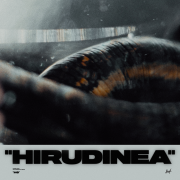 HIRUDINEA (Singlas)