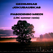 Pasodinso miedi (LINC Summer Remix) (Singlas)