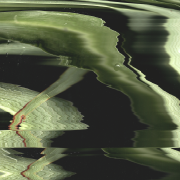 Unravelling the Everyday