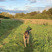 Negatyvas Freestyle (Singlas)