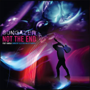 NOT THE END (IDM MIX OF SUNGAZER)(Singlas)