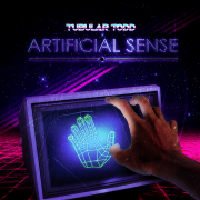 Artificial Sense